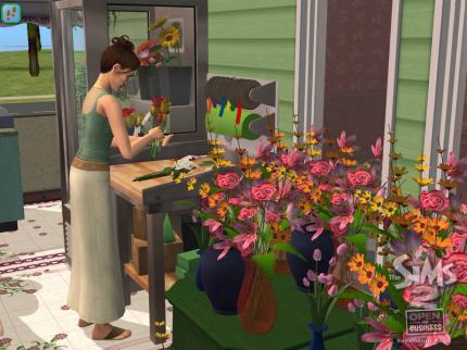 Kurztipps - Die Sims 2: Open for Business