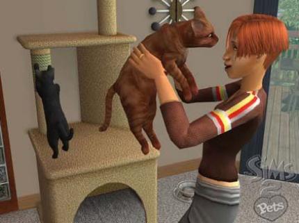 Patch bringt den Haustieren neue Tricks bei