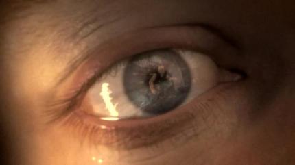 Erster Trailer zum Action-Titel Prototype gesichtet