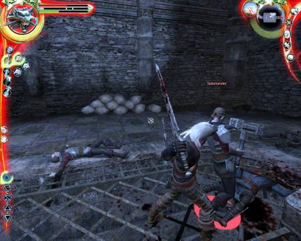 The Witcher