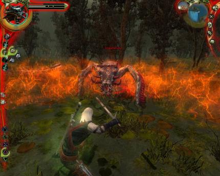 The Witcher