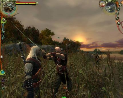 The Witcher