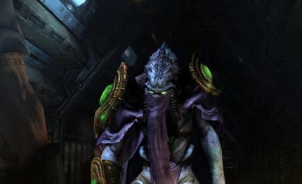 Blizzard ist ein Meister der Zwischensequenzen und Erzählungen. 