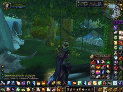 Phänomen World of Warcraft: Blizzard gibt zwar keine offiziellen Zahlen bekannt, doch nach vorsichtigen Schätzungen gibt es allein in Deutschland über eine Million aktiver WoW-Spieler.