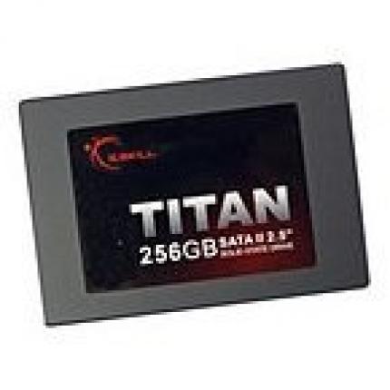 Hardware mit Eiern: G.Skill 256 GB 2,5 Zoll Solid State Drive S-ATA II