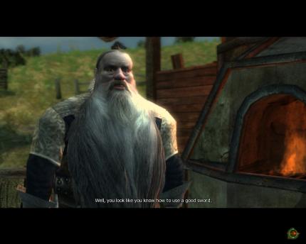 Ein Bild aus The Witcher: Evil Decision. (3)