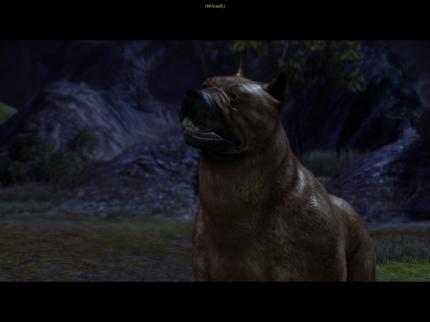 Der Mabari-Hund aus Dragon Age: Origins.