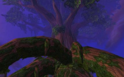 In Hyjal brennt der Baum. Zumindest fast. Dort haben sich nämlich die Druiden von Nordrassil versammelt.