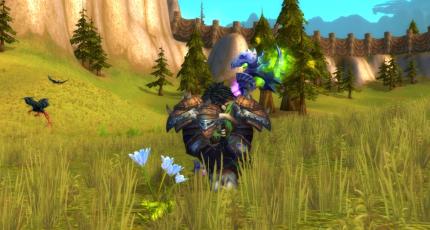 Auch bei Bezahl-MMOGs wie World of Warcraft greifen einfache Gesetze: Wer viel spielt, hat mehr davon.
