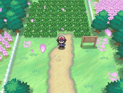 Auf dieser Seite unserer Pokémon Schwarz und Weiß Komplettlösung liefern wir euch Tipps zur Pokémonliga.