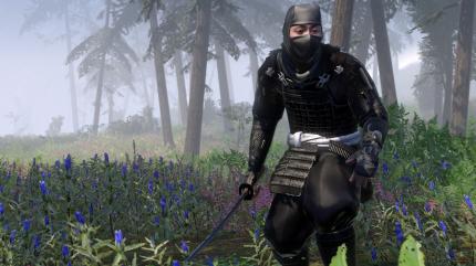 Der Ninja spielt eine wichtige Rolle in Total War: Shogun 2. Mit ihm können Sie ganze Armeen oder Städte sabotieren.