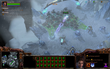 Während eines Schneesturms sind die Protoss eingefroren und können sich nicht verteidigen.