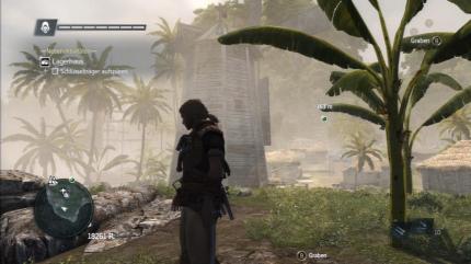 Assassin's Creed 4: Black Flag - Grabungsstelle New Bone