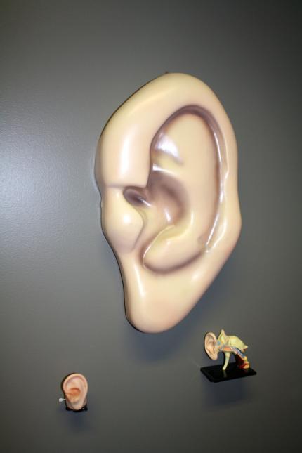 Seltsamer Wandschmuck: Die Öhrchen weisen bei Monolith den Weg zur Audio-Abteilung.