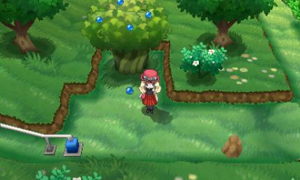 Pokemon X und Y: Komplettlösung mit Tipps zu Items und Fundorten aller Pokémon - Update (22)
