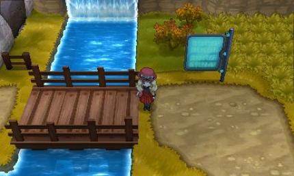 Pokémon X und Y: Route 15 (4)
