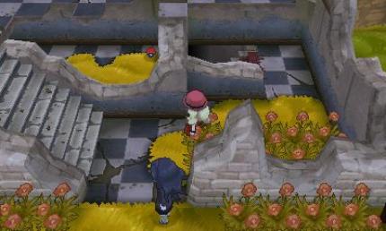 Pokémon X und Y: Route 15 (5)