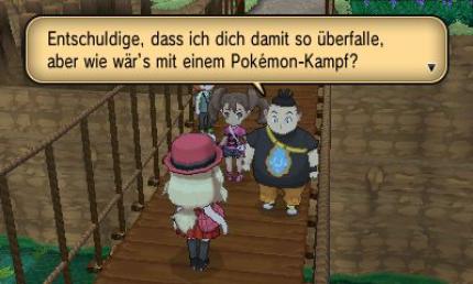 Pokémon X und Y - Route 19 (11)