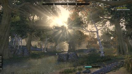 Die Grafik in The Elder Scrolls Online kann nicht ganz mit aktuellen Rollenspielen mithalten, sorgt aber für eine gute Atmosphäre.