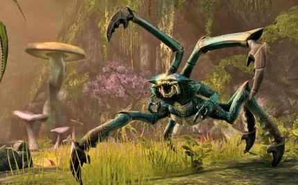 The Elder Scrolls Online ist zwar ein traditionelles MMORPG, doch dank des abwechslungsreichen Quest-Designs fühlt es sich zeitweise mehr nach Skyrim denn WoW an.