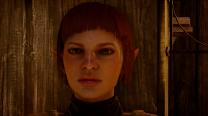 Dragon Age: Inquisition - Die besten Mods zum Rollenspiel in der Übersicht - Update: 10.07.2015