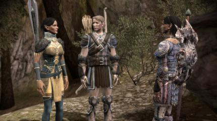 Dragon Age: Die Welt von Thedas #2 - Die Elfen (5)