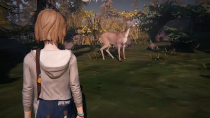 Das Reh als Max' 'Spirit Animal'?