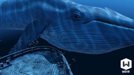 In der VR-Unterwasserdemo TheBluVR von WEVR schwimmt unter anderem ein riesiger Blauwal an uns vorbei.