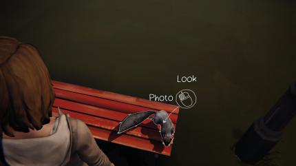 Lenscrafted