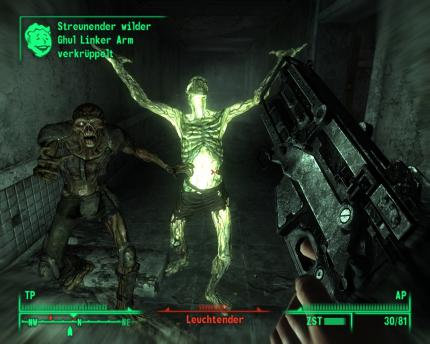 Eines meiner Lieblingsbilder!. Dank Fallout 3 wusste ich Nachladeanimationen für Screenshots endlich zu schätzen.