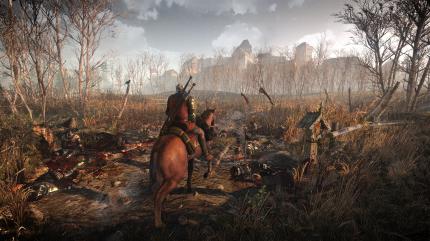 So überzeugend sieht eine offene Welt nur in Singleplayer-Titeln aus: Wald, Flur und Leichenberge in The Witcher 3.