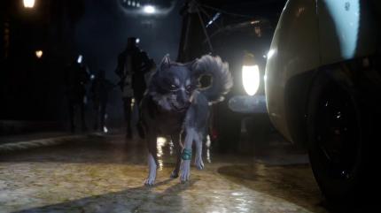 Der Hund aus dem Dawn-Trailer