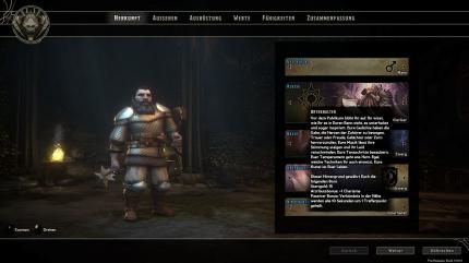 Sword Coast Legends: Tooltipps zu allen Einträgen zeigen euch, welche Boni eure Figur bekommt.