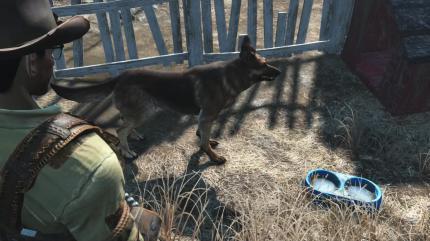 Dogmeat - Euer Hund