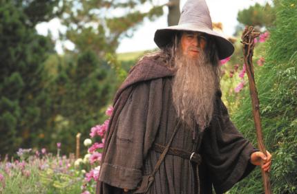 Gandalf der Graue aus Herr der Ringe: Die Gefährten