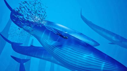 Abzû (Giant Squid)
