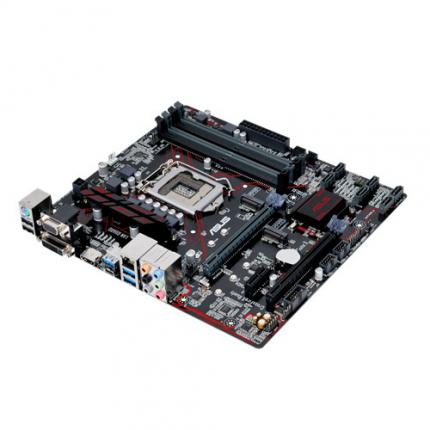 Asus Prime B250M Plus, ab 100 Euro