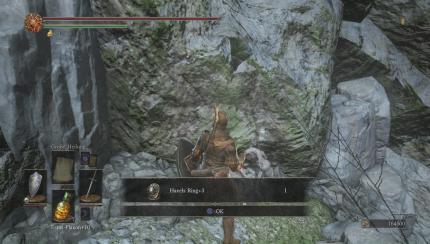 Wichtiges Item in Dark Souls 3!