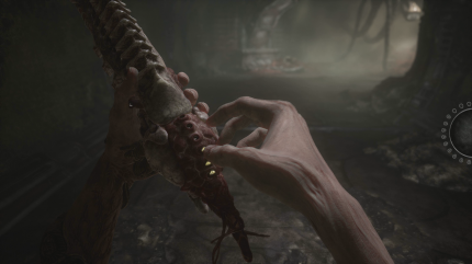 Die Scorn Alpha Demo zeigt schon einen guten Eindruck davon, wie das endgültige Spiel aussehen könnte. Ziemlich gruselig! (6)