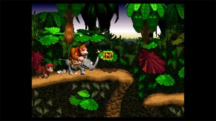 Donkey Kong Country: Donkey und Diddy Kong