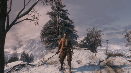 Sekiro: Shadows Die Twice