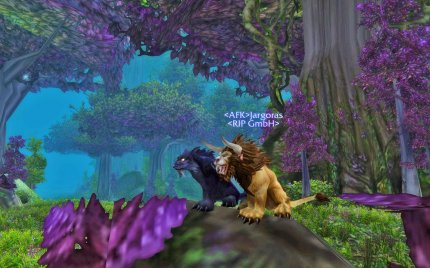 Miau! Druiden-Eintracht in Ashenvale, zumindest solange der andere Spieler AFK ist.