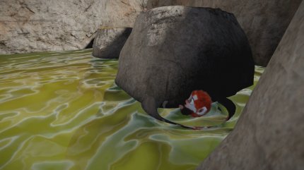 Der Affe ist im Wasser leider nicht sonderlich agil. Er kann eine kurze Zeit schwimmen, aber aus dem Wasser kommt man so gut wie nie.