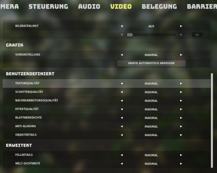 Biomutant: Grafikmenü 'Benutzerdefiniert'