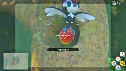 New Pokémon Snap: So schießt ihr perfekte Bilder - Guide (3)