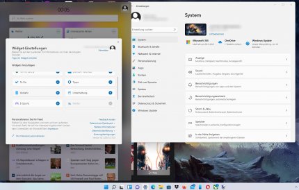 Windows 11 -&nbsp; Die Widget Einstellungen und Systemoptionen