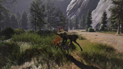 Dieser Hirsch hat sich dazu entschieden, spontan abzuheben, nachdem wir ihn erledigt haben.