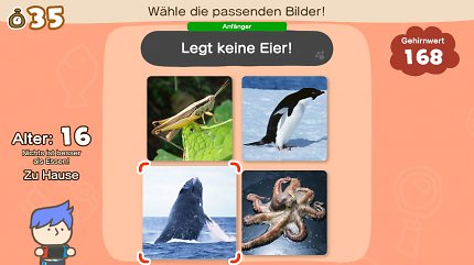 Nintendo eShop Sommer Angebote: Rabatte bis zu 80% sichern - Letzte Chance!