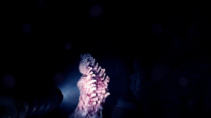 Wer Survival und Horror liebt, kommt ebenfalls nicht zu kurz. In Sons of the Forest könnt ihr euer Überlebenstalent unter Beweis stellen. Eure Gegner? Nicht nur die Natur, sondern auch diese netten Kreaturen.