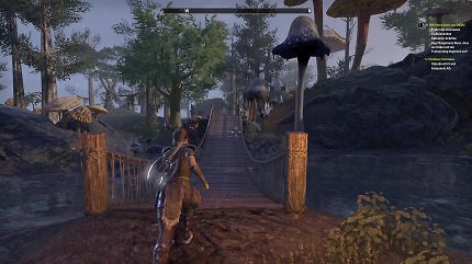 Endlich wieder durch die Pilzwälder von Morrowind laufen!